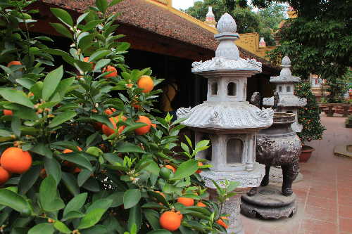 Tempelanlage Vietnam